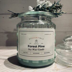 Forest Pine
