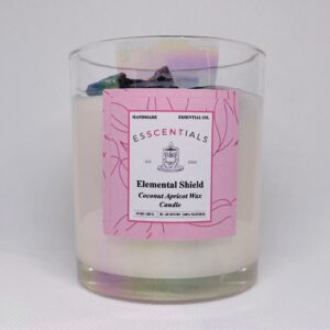 Elemental Sheild